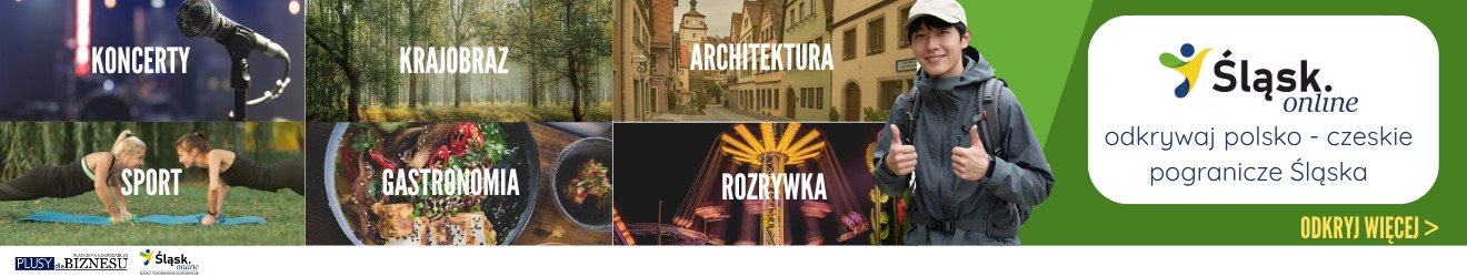slask.online