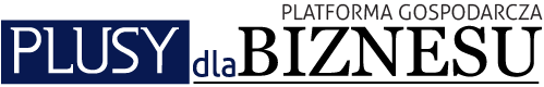 Platforma Gospodarcza Plusy Dla Biznesu