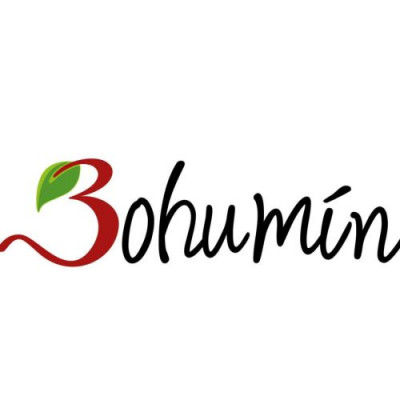 Urząd Miejski w Boguminie