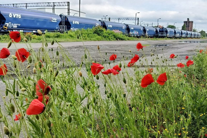 Przyroda i klimat to priorytety dla wyborców wszystkich opcji
