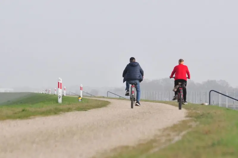 Światowy Dzień Roweru. Jednoślad to dla Polaków coś więcej niż środek transportu