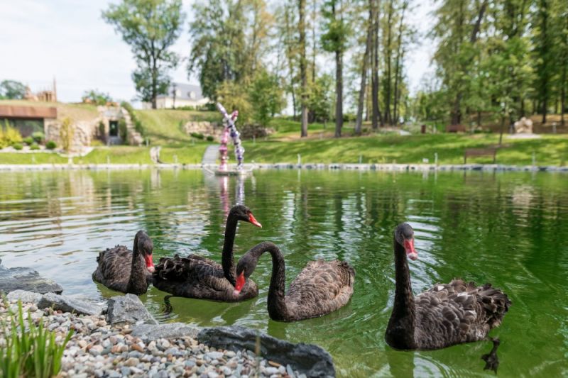Zameczek Petrovice koło Karwiny to oaza spokoju na łonie natury.