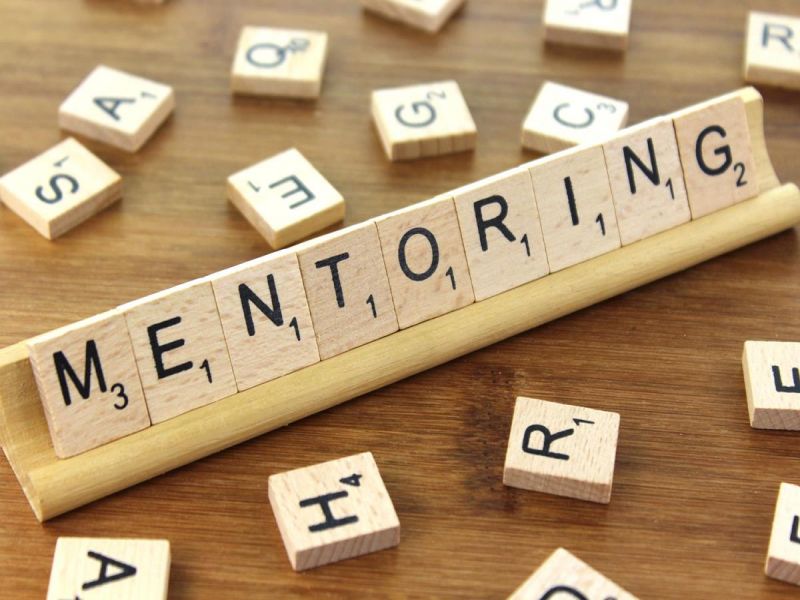 Rusza mentoring