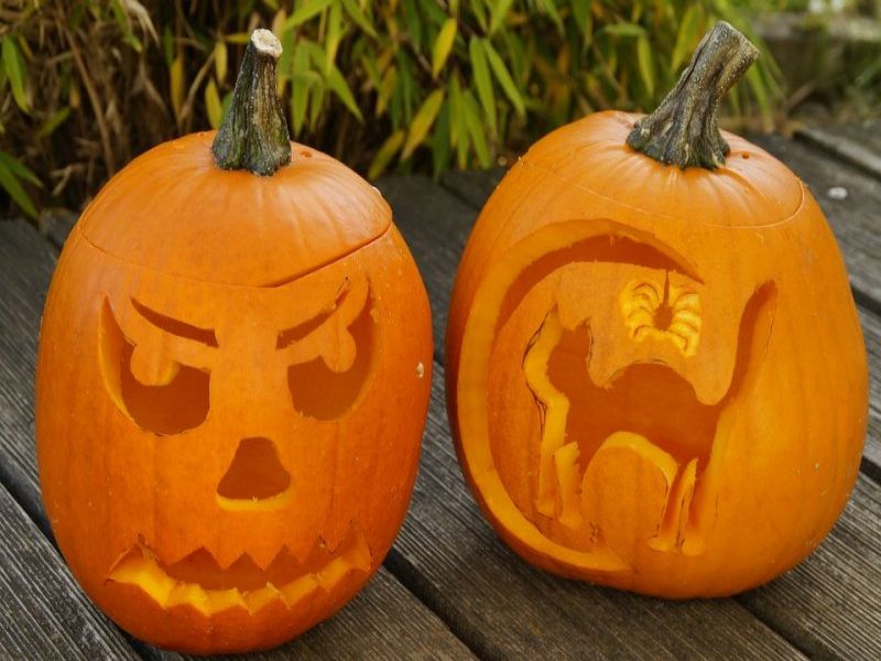 "Psotnikowo" zaprasza na Halloween