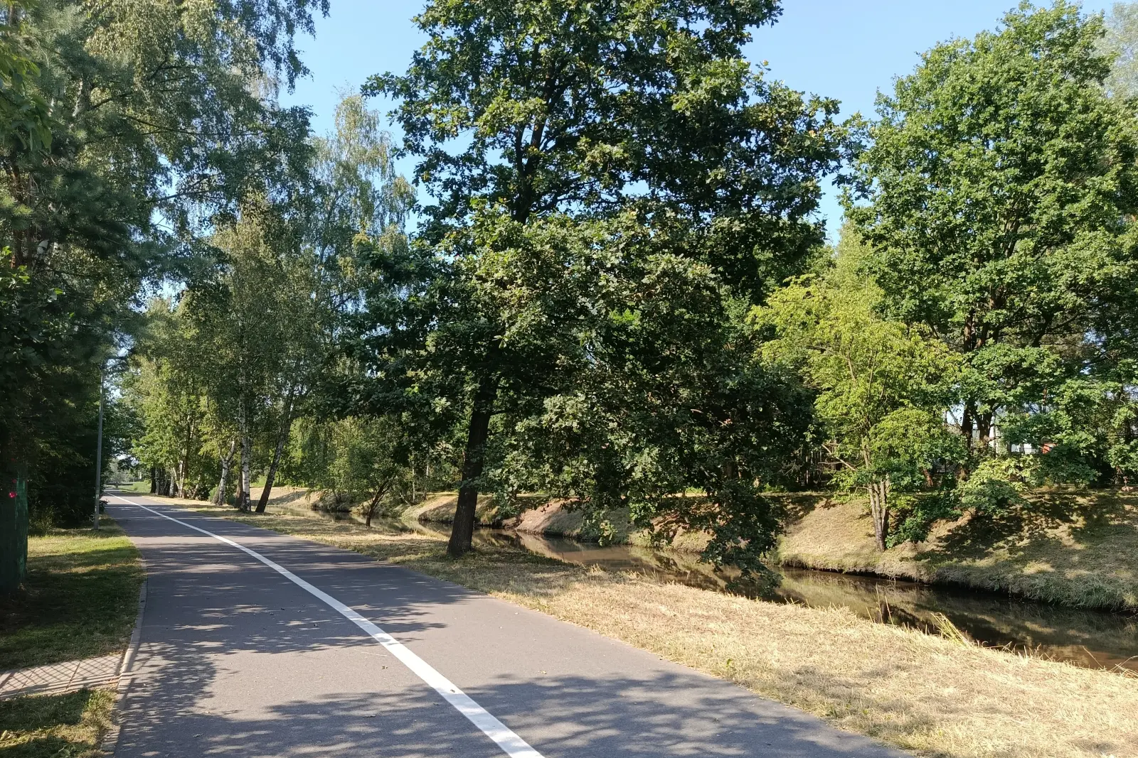 Rybnik i Politechnika Śląska przygotowały koncepcje szkół odpornych na zmiany klimatu